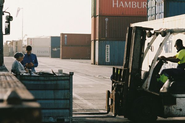 Global Logistics Team